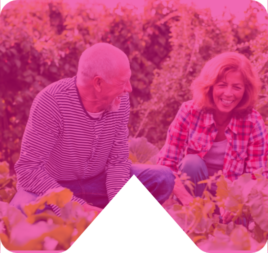 Gardening Clubs pink