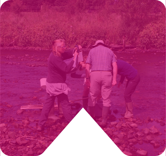 Wyre rivers trust pink